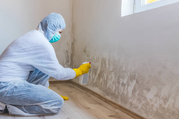 Mold Remediation specialist working in Suffolk