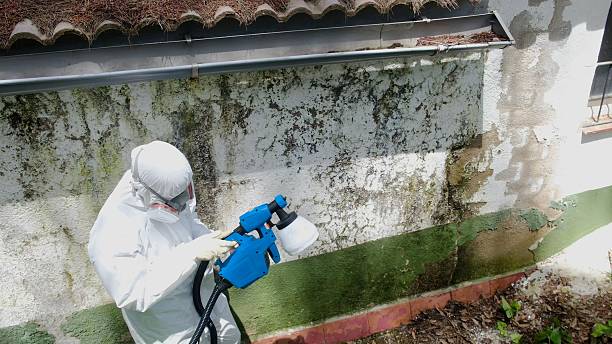 Clearance testing in Suffolk